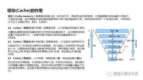 从基础到高级的服务器技术解析