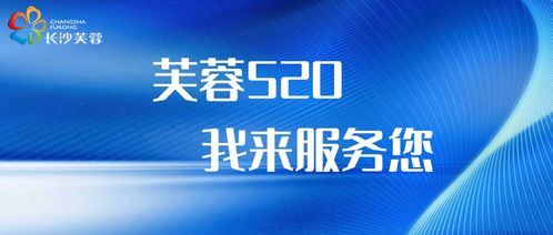 芙蓉520 我来服务您 芙蓉区 厚植人才服务 新土壤 打造营商环境 引力场