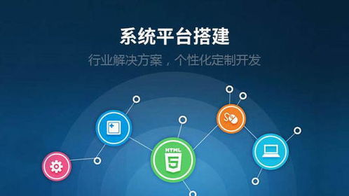 巢音数字藏品App开发与新材料技术推广服务 融合创新，赋能未来