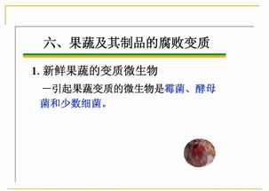 技术 食品的微生物污染及其控制